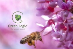 Ökosystem-bienen-green-logic-ch